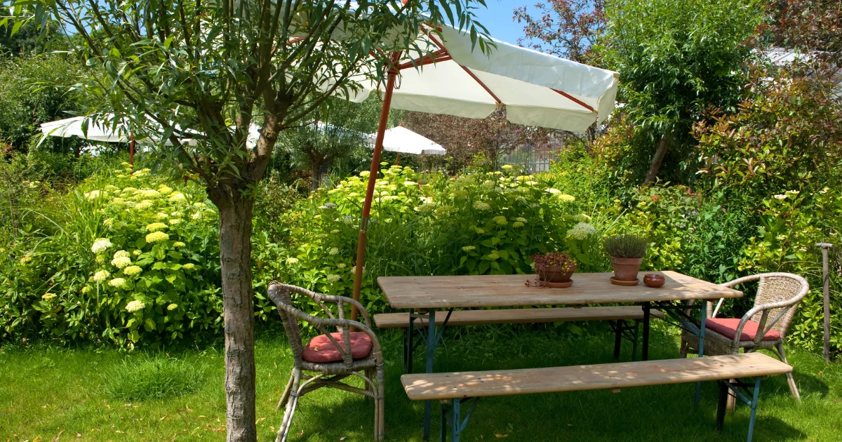 50-cooling-tips-Melbourne-summer Outdoor garden shaded by tree, representing 50 cooling tips for Melbourne's summer